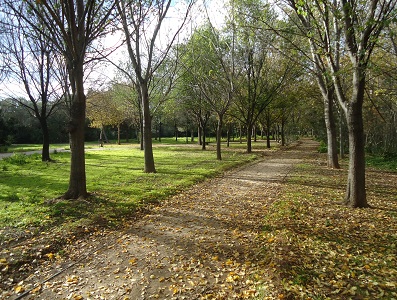 Parque de la Rambleta